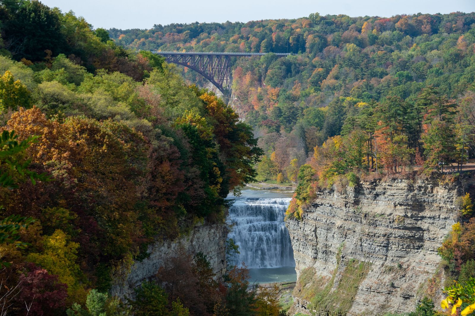 A waterfall in autumn, one of the stops that fits neatly into a 3-hour Hamilton booking