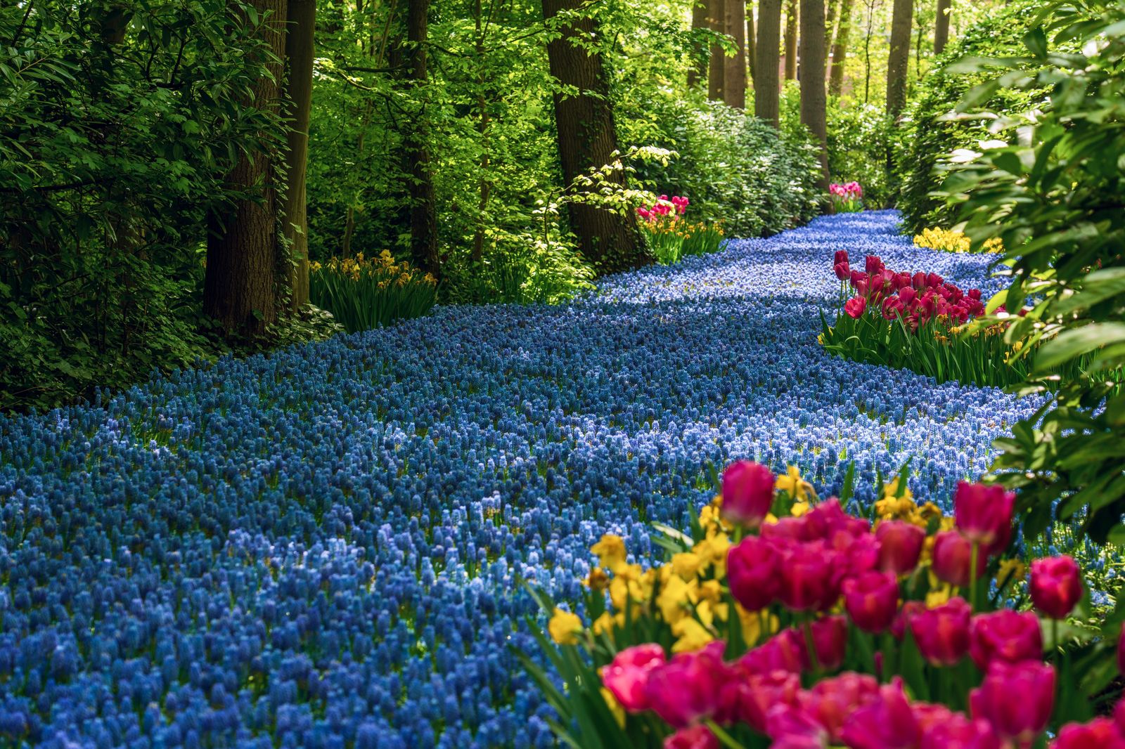 A garden path at the Royal Botanical Gardens, a short drive from Burlington's hotels