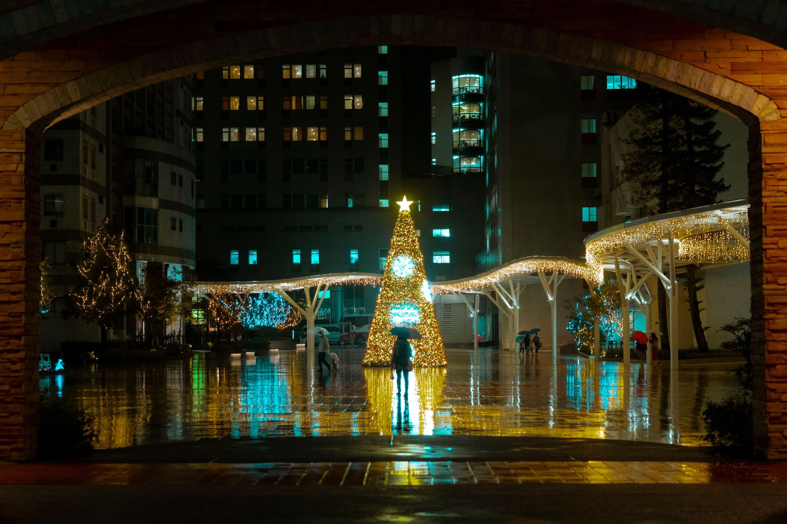 Tall Christmas tree lit up in a city square at night