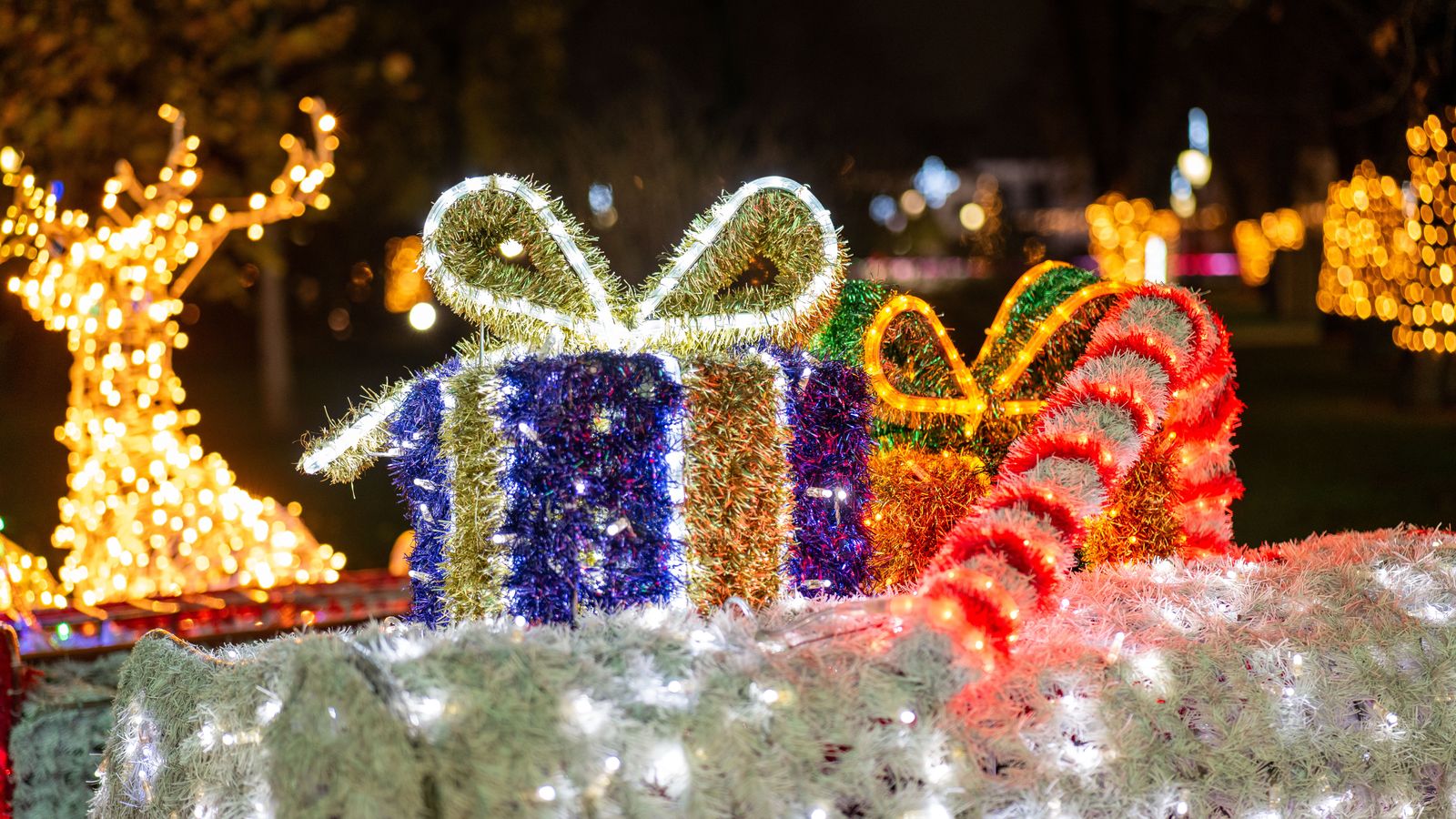 Christmas lights tour