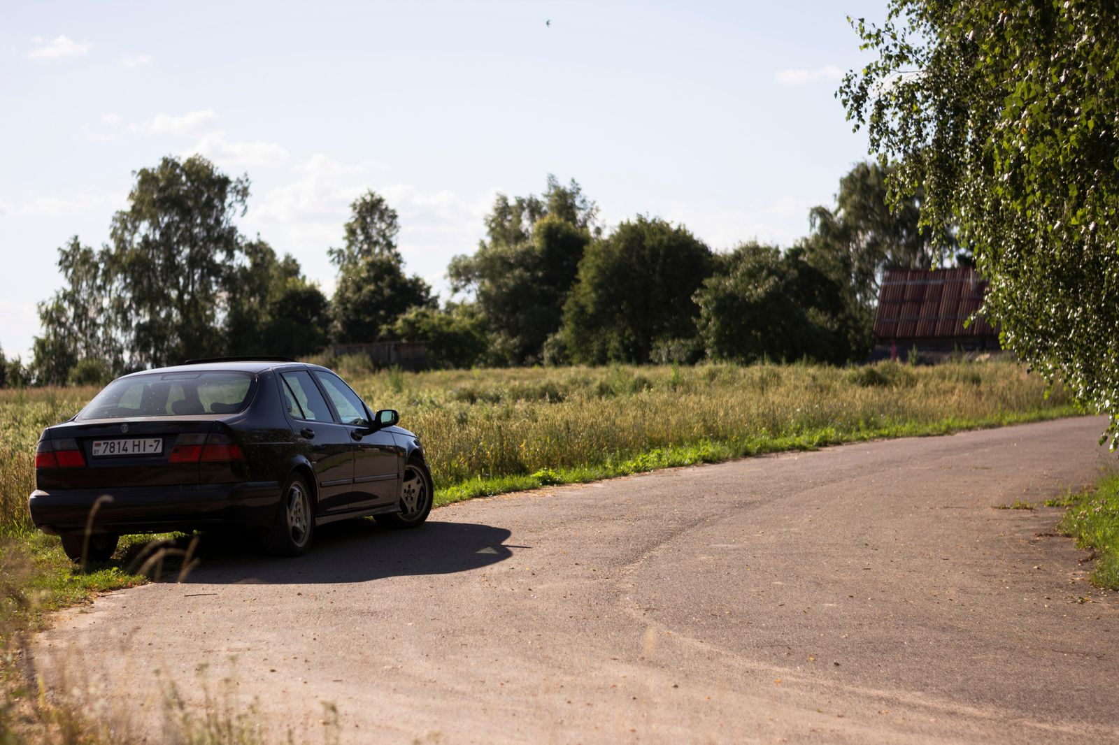 A black sedan parked on a vineyard lane while its passengers visit a Niagara winery
