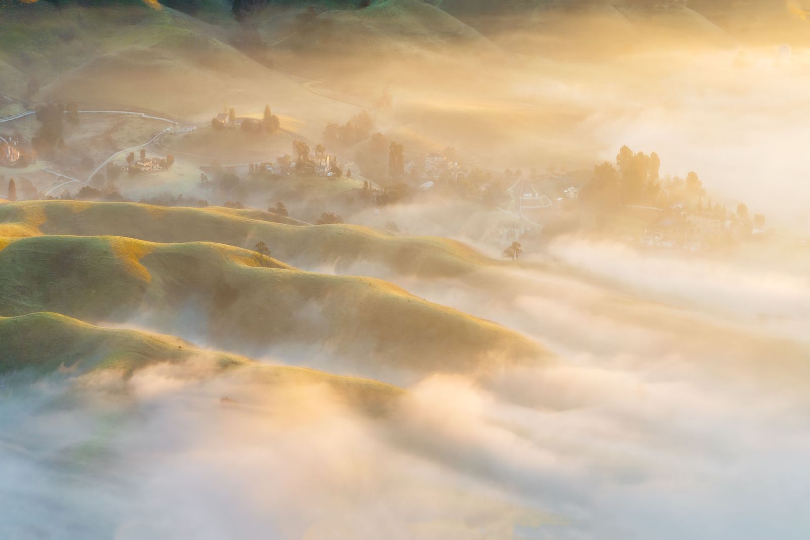 Sunrise over a misty valley seen from an escarpment lookout