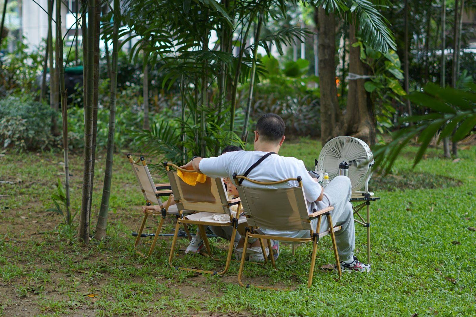 Family on lawn chairs at an outdoor park concert in the evening