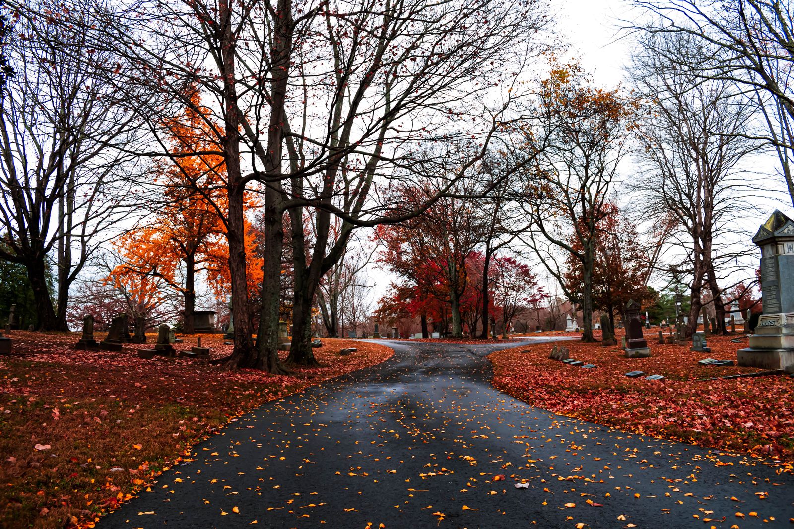 A quiet cemetery path lined with autumn trees