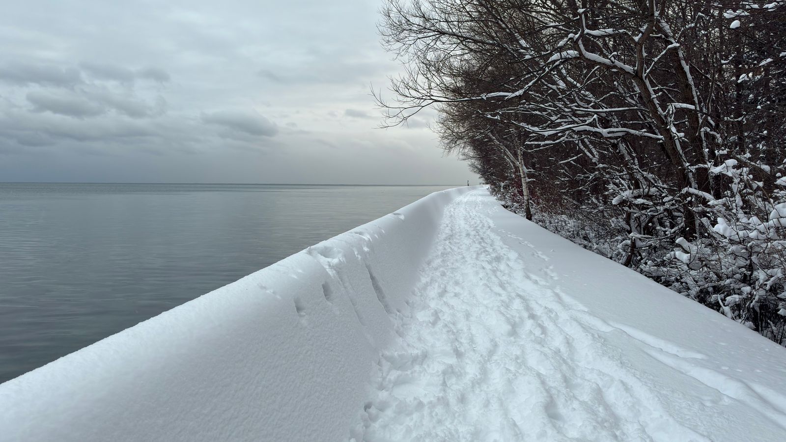 Grimsby to Pearson airport