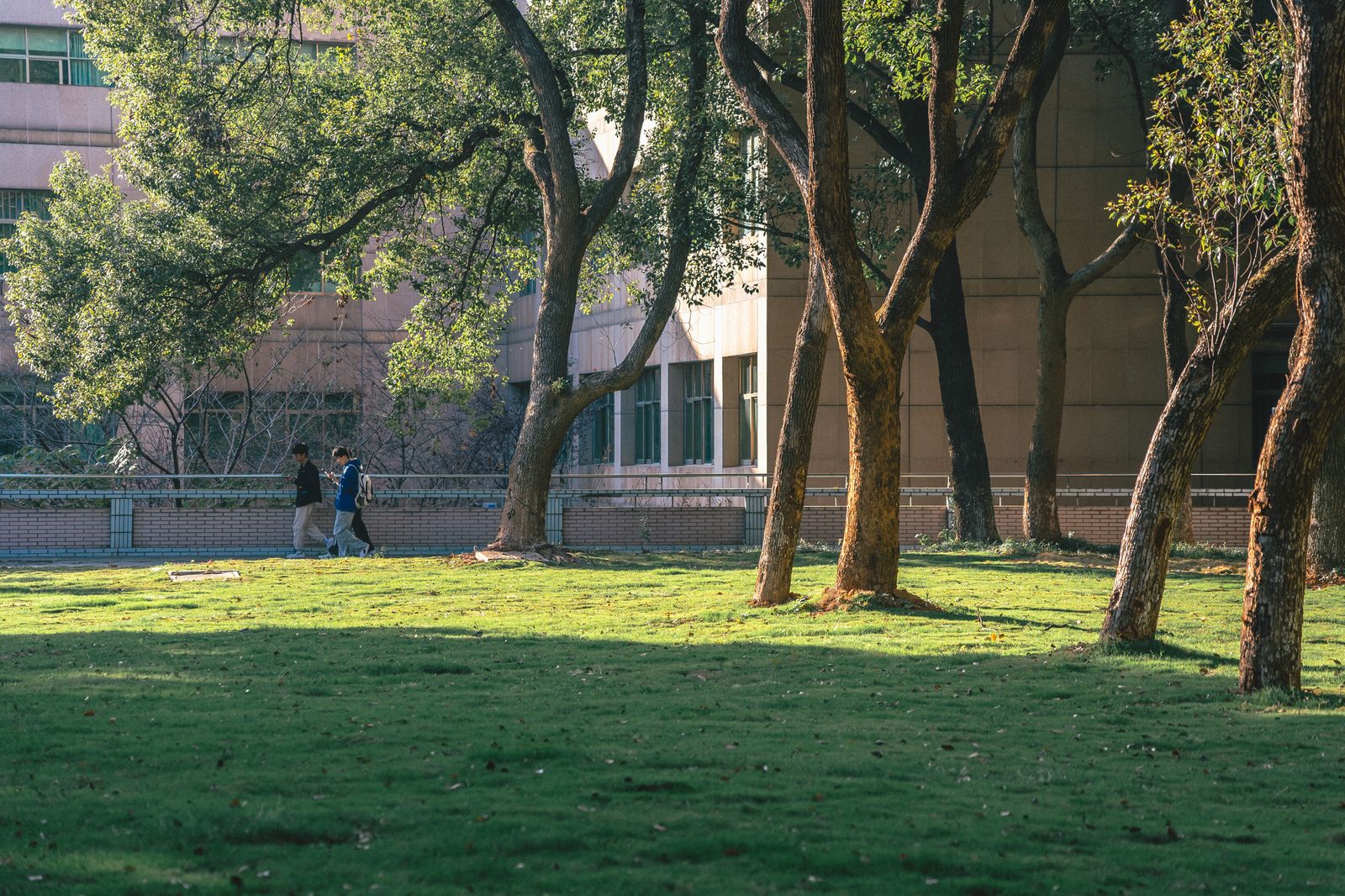 University campus buildings among autumn trees
