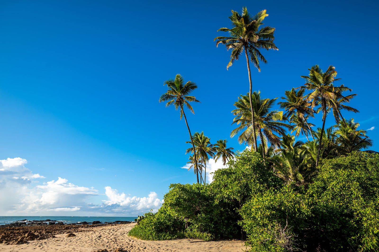A suitcase and sun hat beside palm trees on a beach holiday