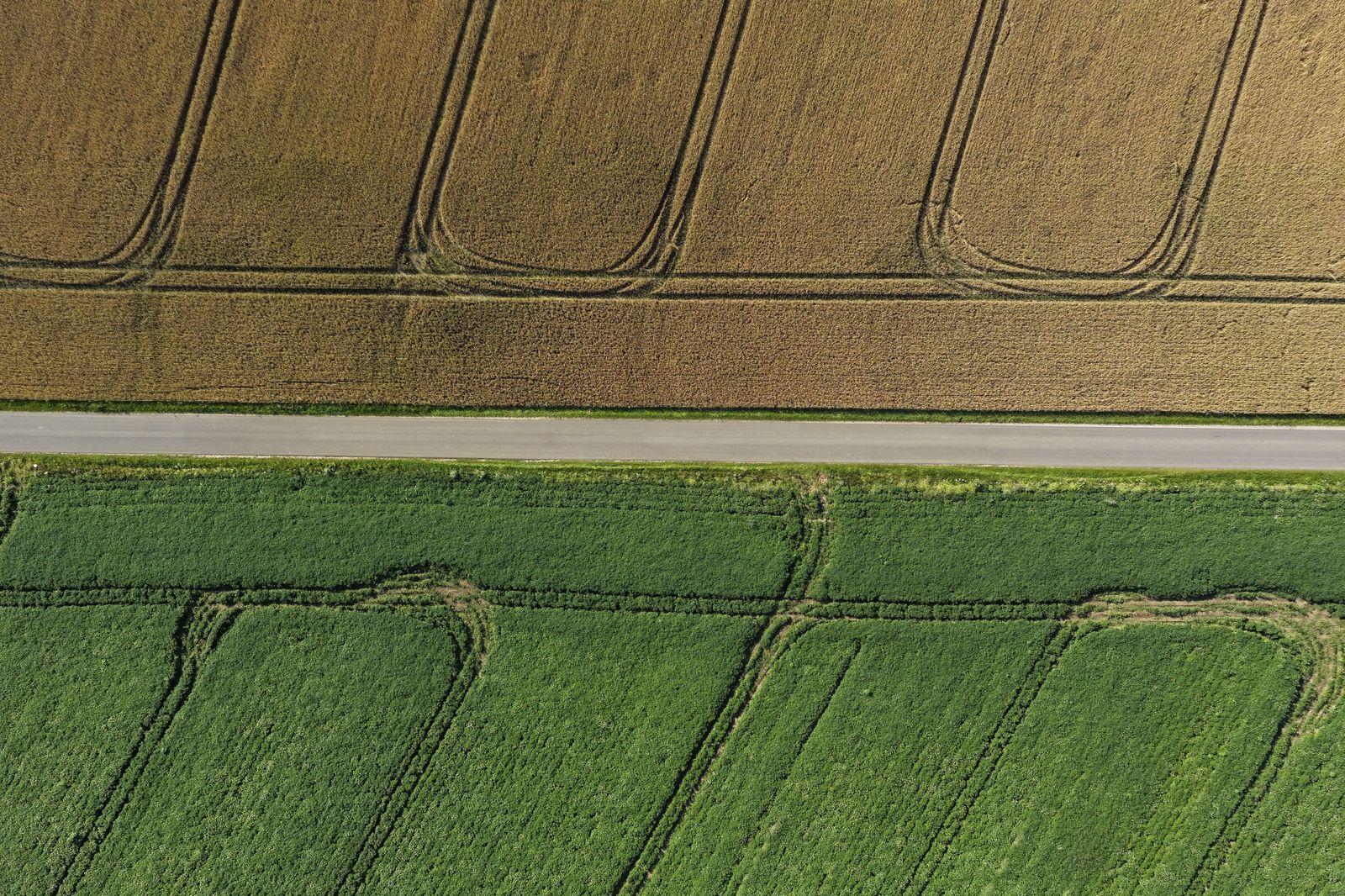A straight highway running through farmland in southwestern Ontario at dawn