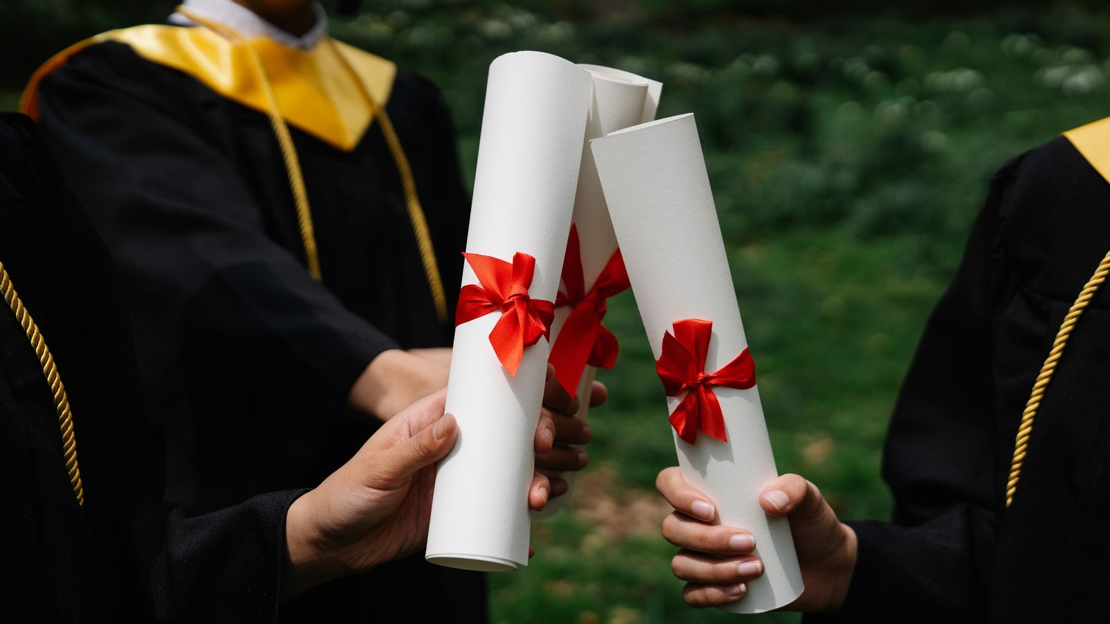 McMaster convocation