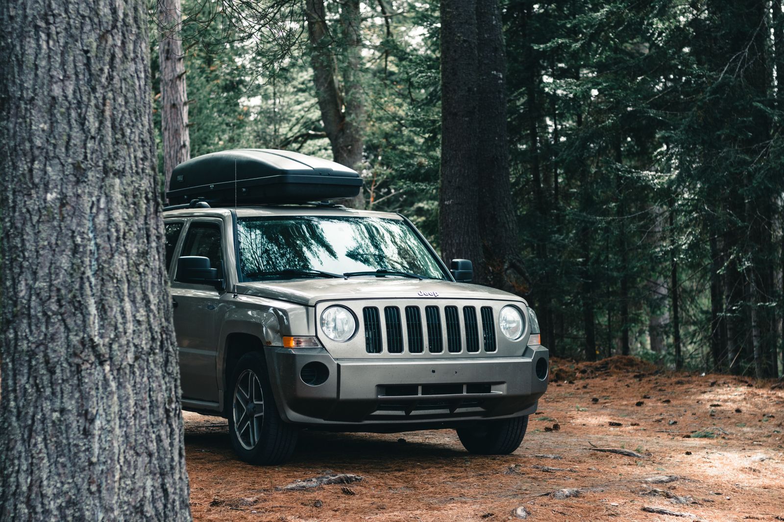 The rear of an SUV packed with a cooler and bags for a cottage weekend