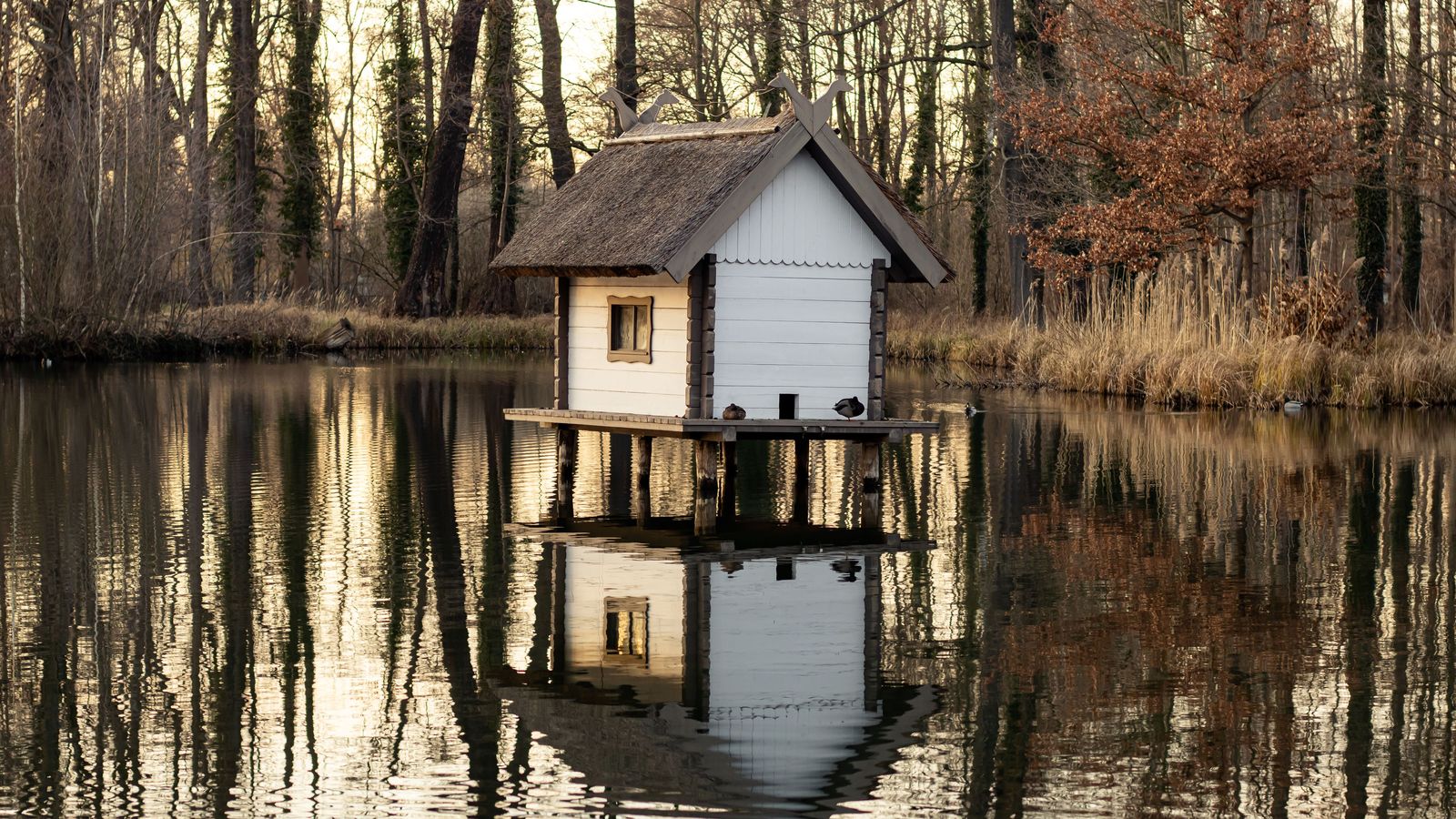 Muskoka without a car