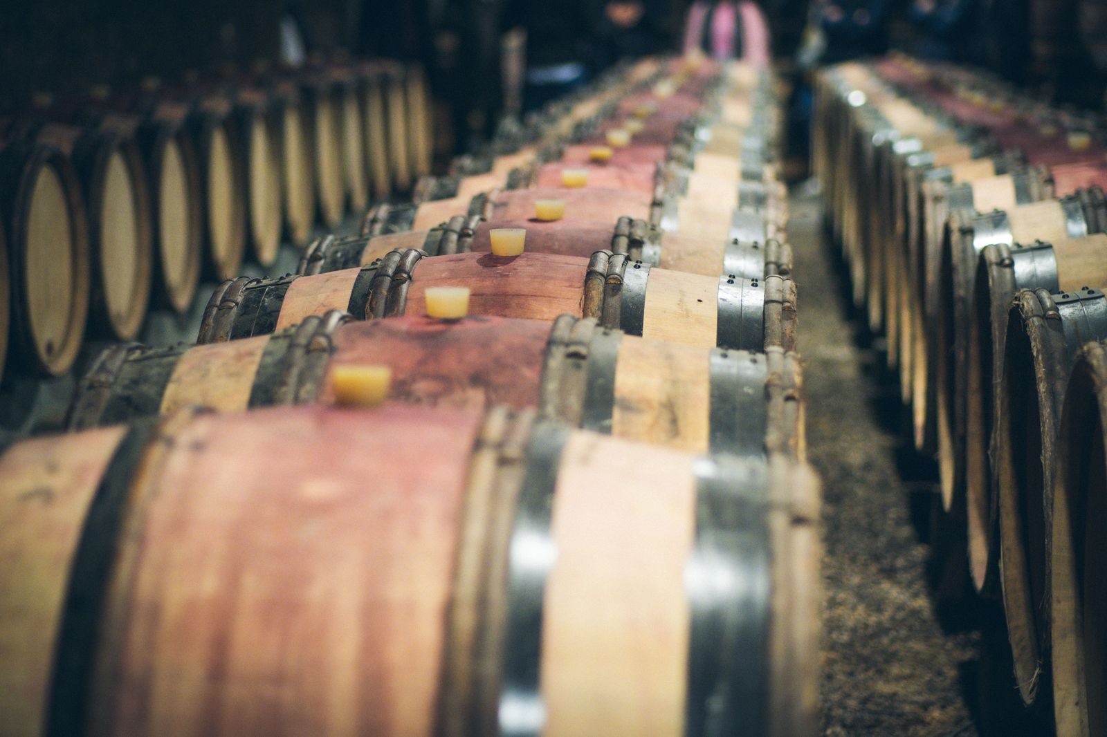 Oak wine barrels stacked in a cool Niagara winery cellar