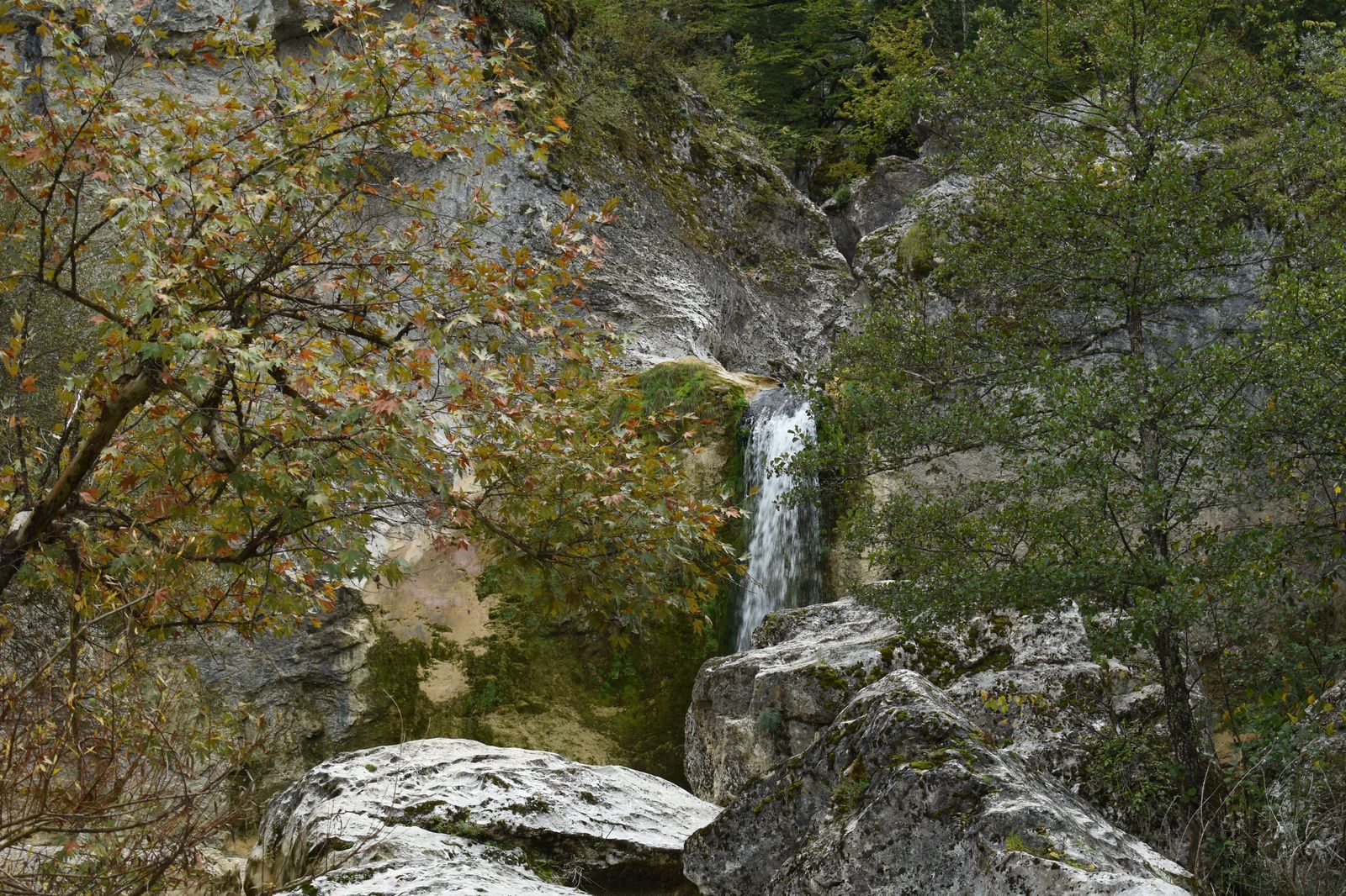 Waterfall in an autumn forest near Hamilton