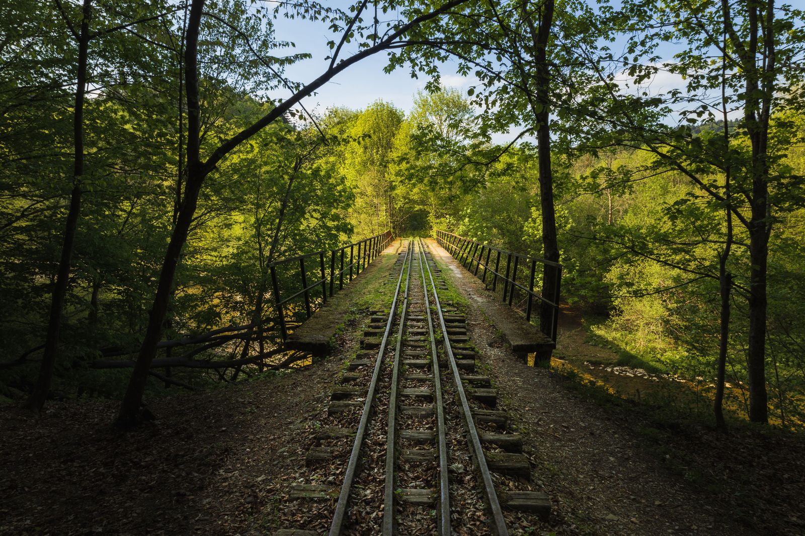 A rail trail through forest above a river; the Cambridge to Paris trail follows the Grand for about 18 km.