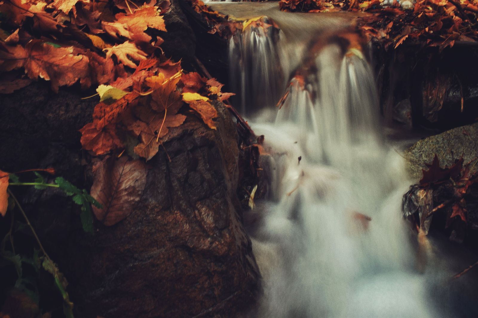 A waterfall in a forest gorge in autumn colour near Hamilton