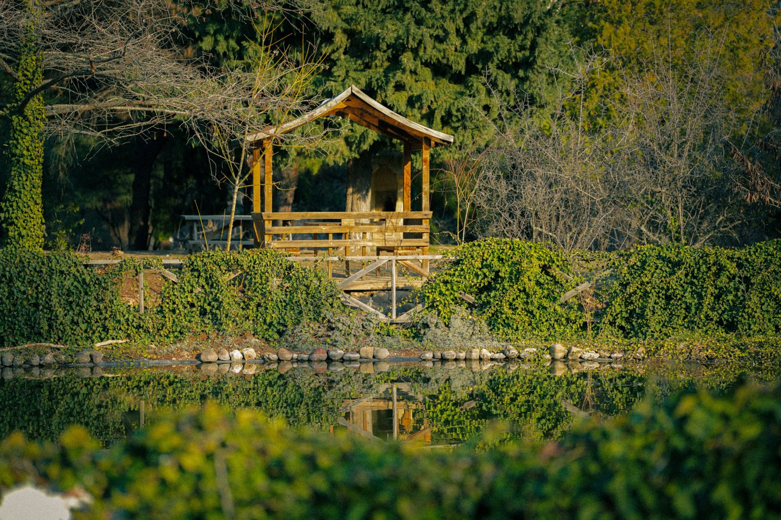 A gazebo in a rose garden, a classic proposal setting