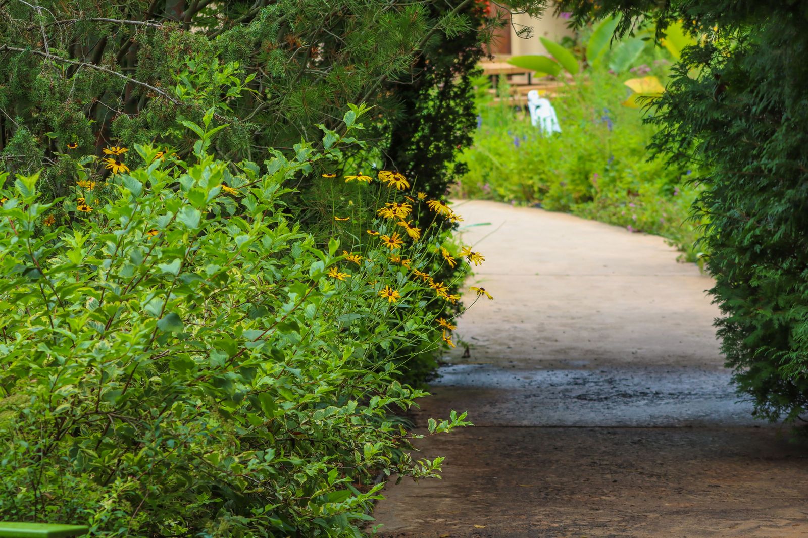 A garden path lined with flowers at the Royal Botanical Gardens near Hamilton