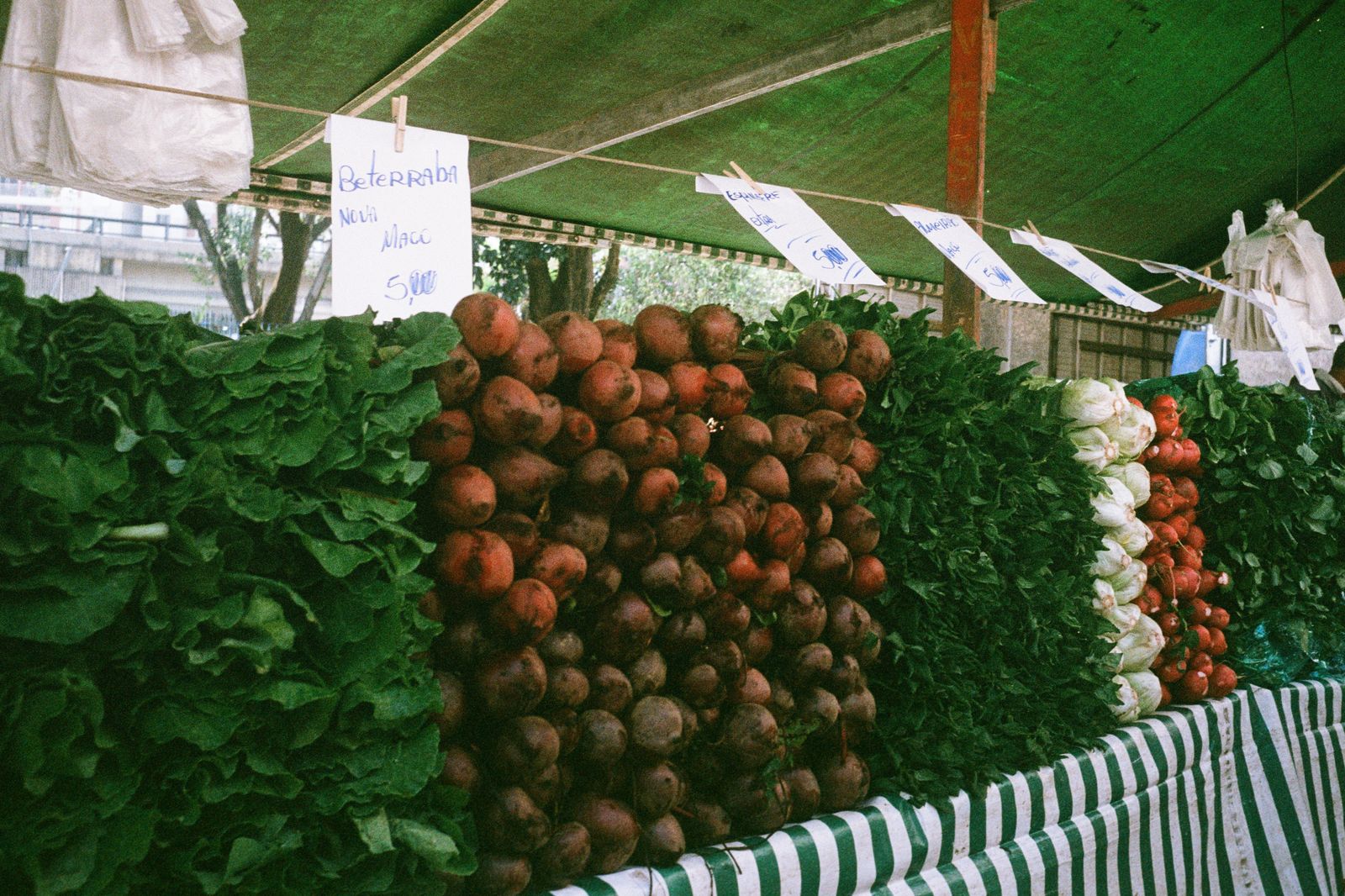 Fresh produce on a stall at an indoor city farmers' market
