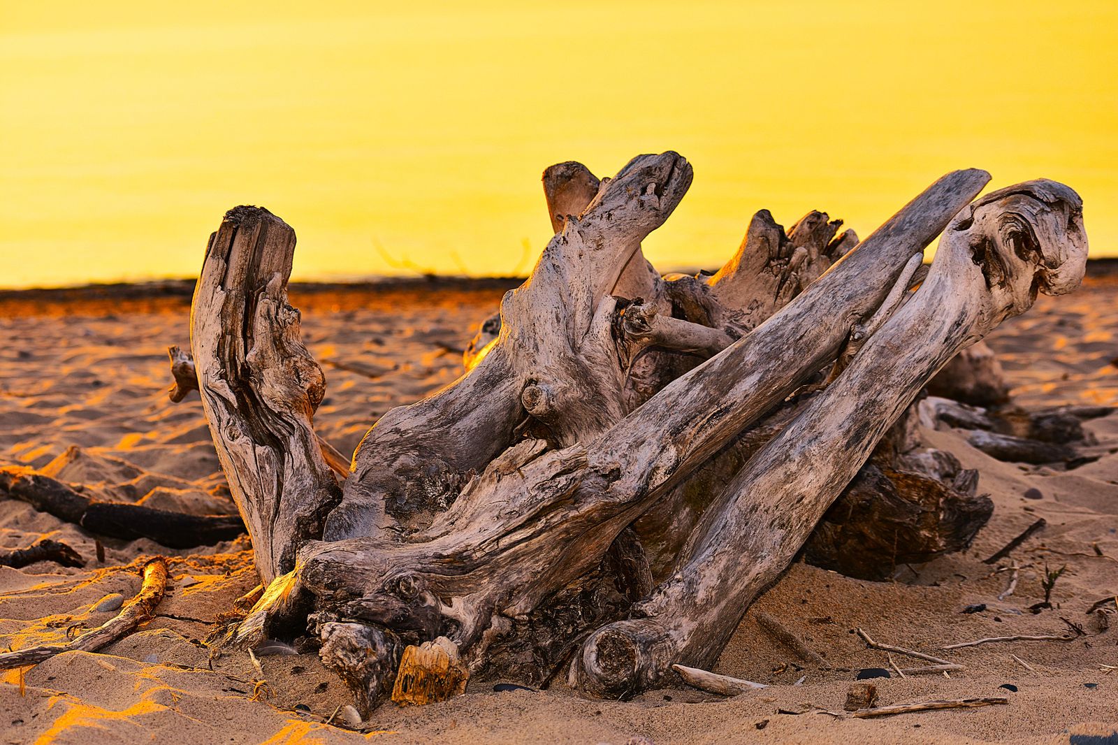 The Lake Erie shoreline at sunset, a summer day-trip destination for Haldimand County clients.