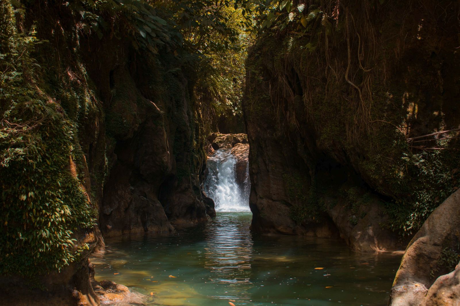 A waterfall in a forested gorge near Dundas, a highlight of hourly waterfall tours.