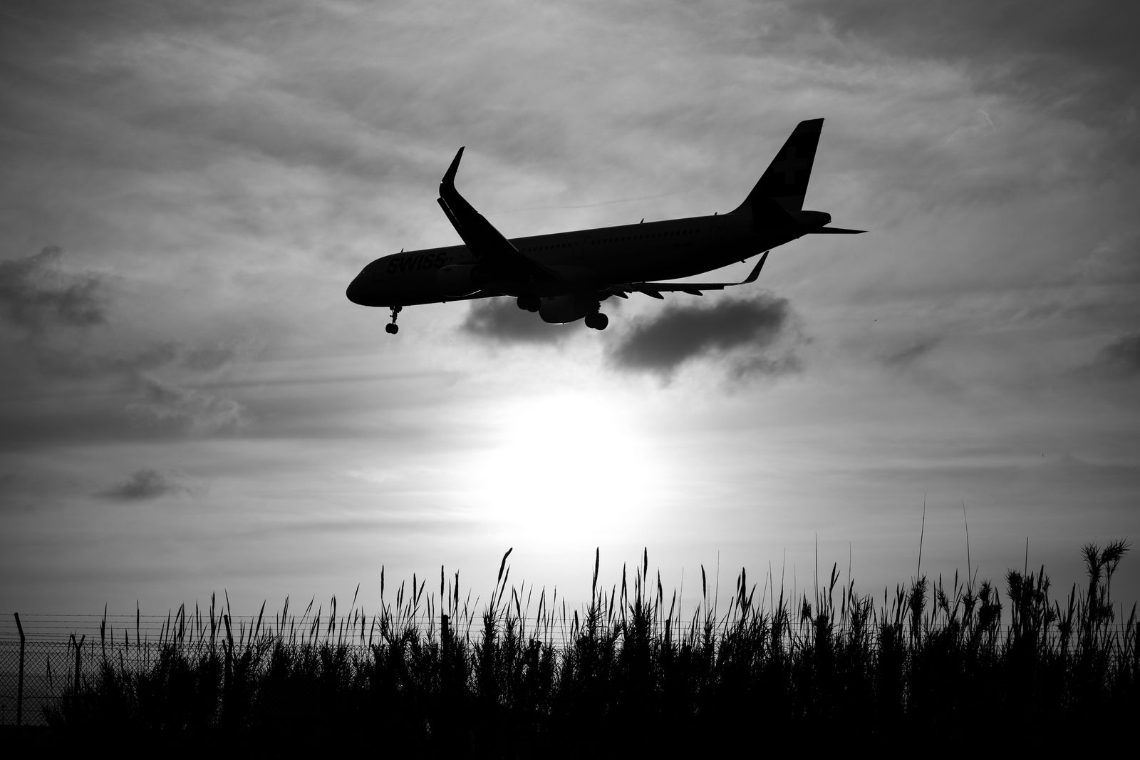 A jet on final approach at dusk; from central Etobicoke, Pearson's terminals are about 15 minutes away.