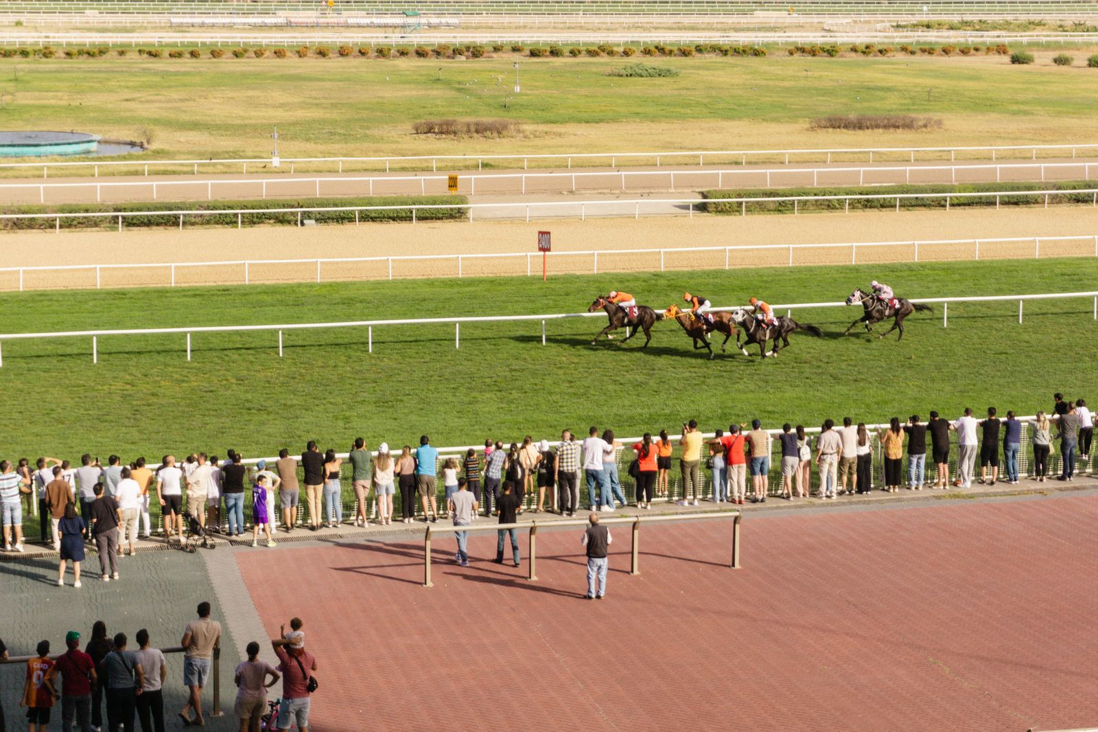 A racetrack grandstand on a summer race day, when Fort Erie groups book a car by the hour.