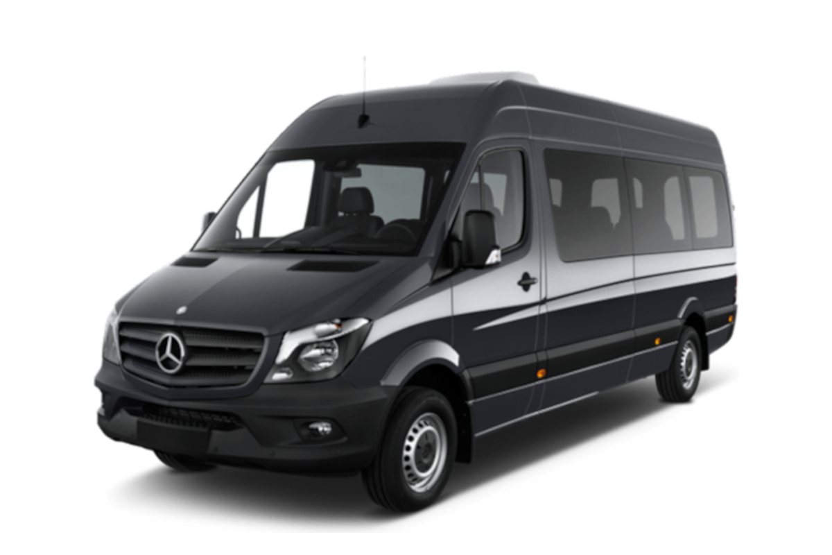 A black Mercedes-Benz Sprinter from the HamiltonLimo.net fleet