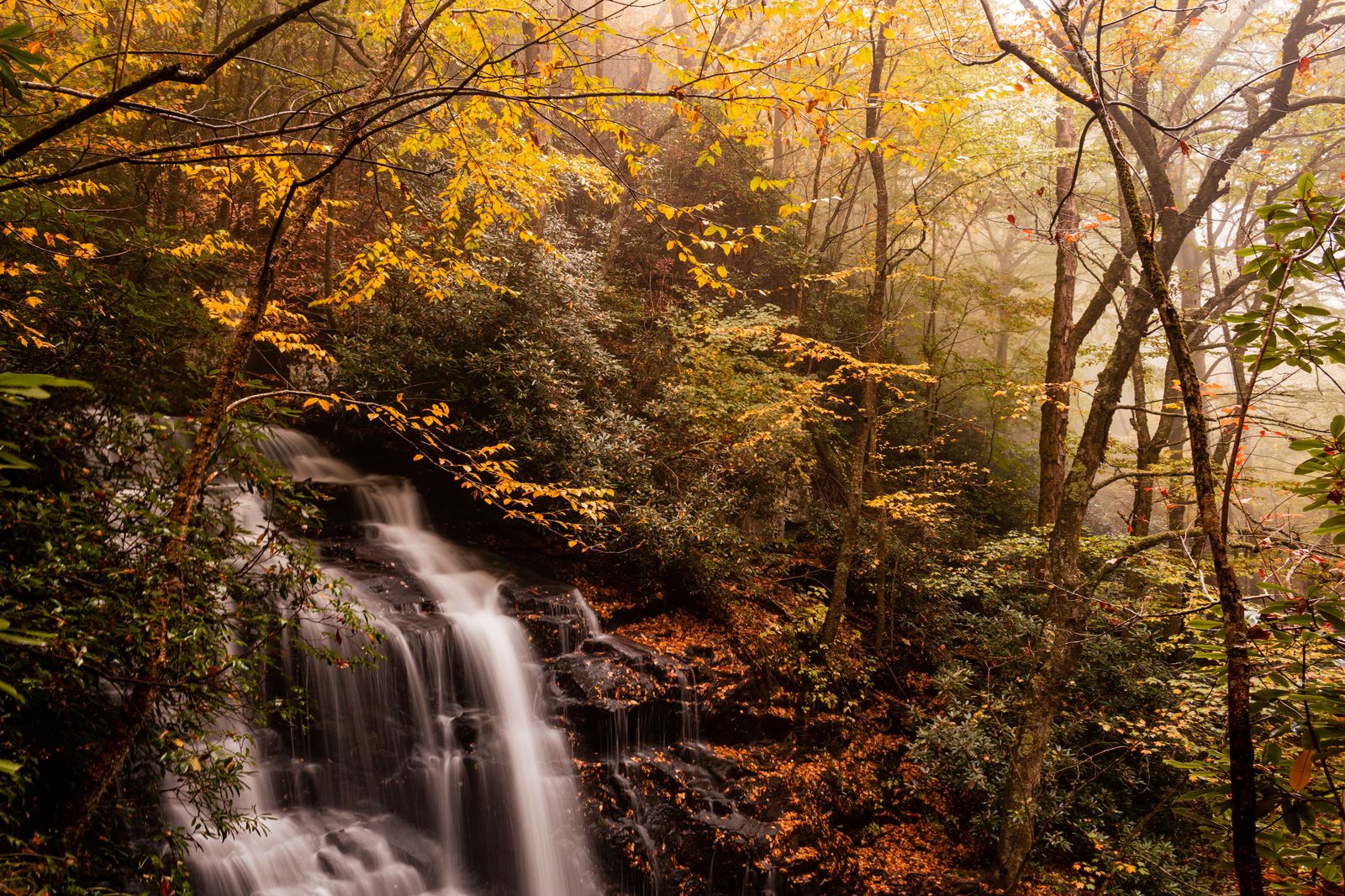 A waterfall and autumn colour on the escarpment, a short drive from Grimsby and Jordan.