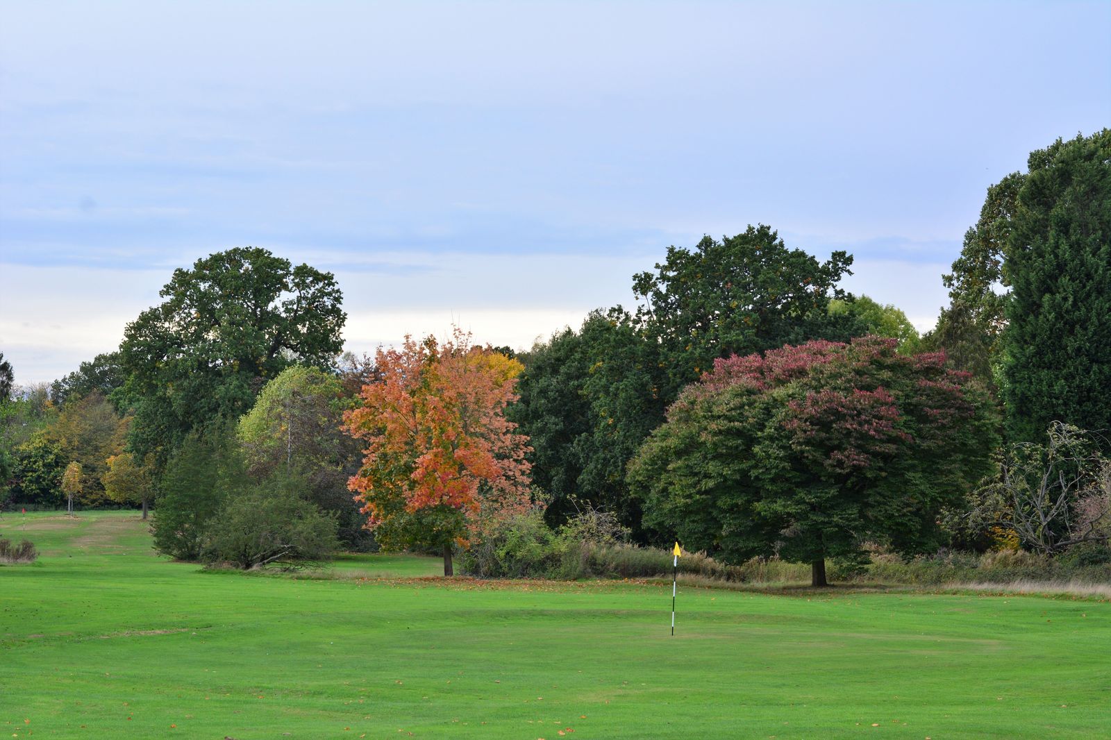 A golf green framed by mature trees, the setting for corporate golf days around Oakville.