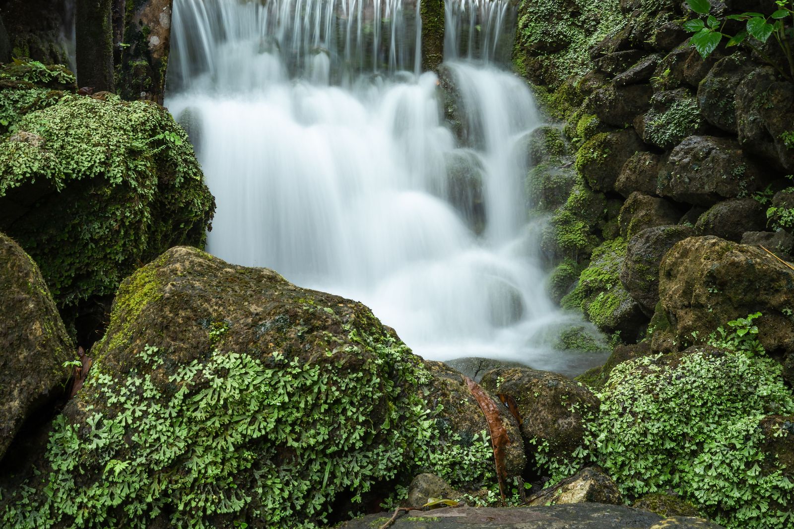 A ribbon waterfall over layered rock, like the Great Falls at Smokey Hollow in Waterdown.