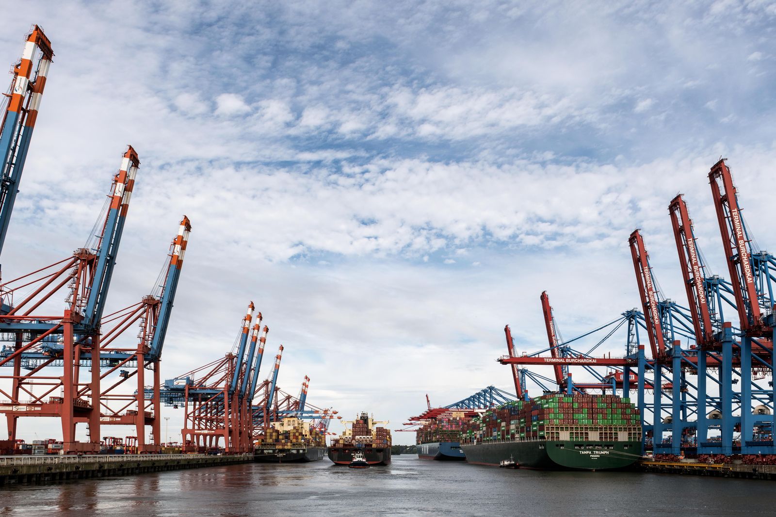 Cranes and ships on a working harbour, typical of an industrial site visit