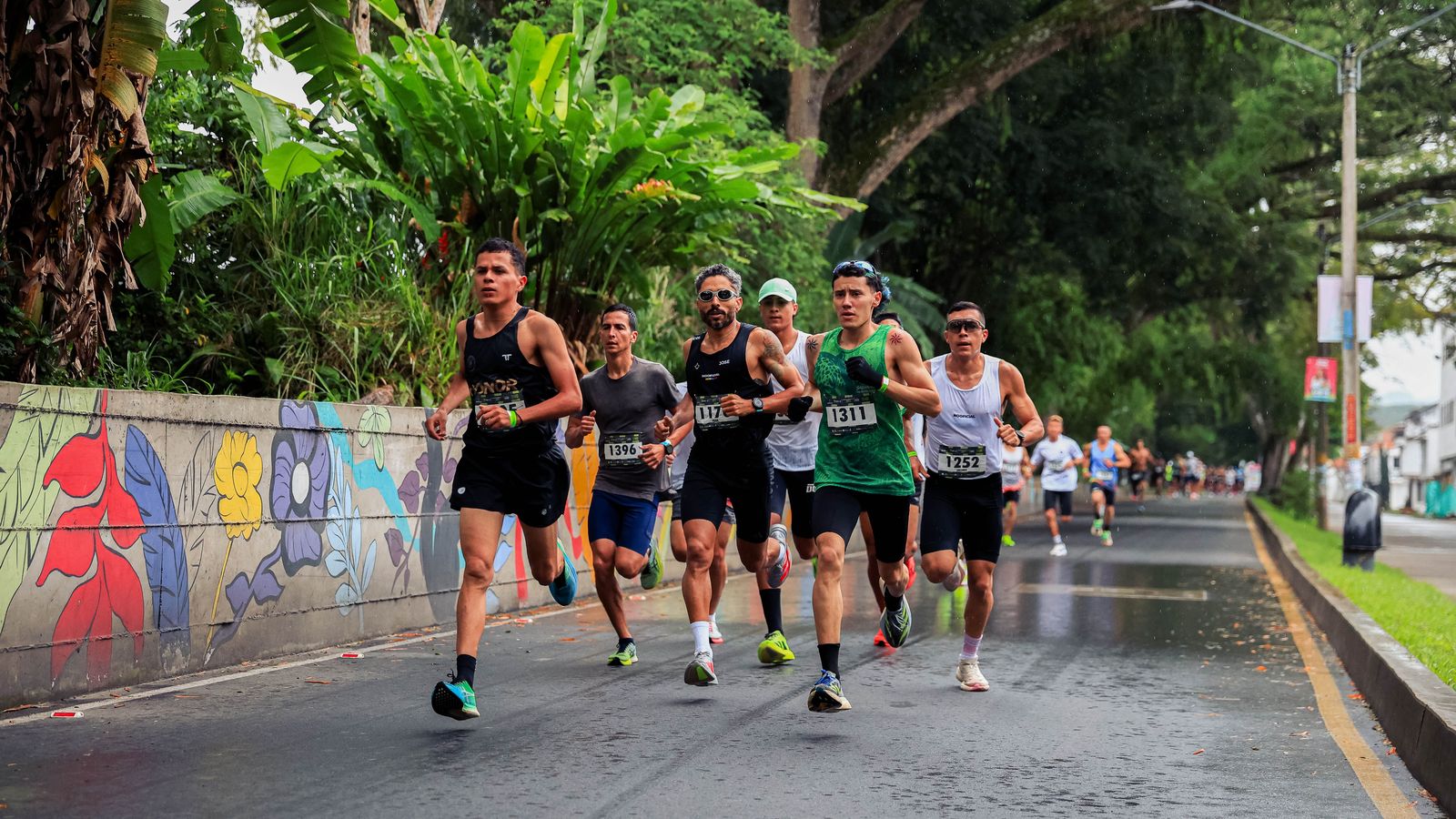 Around the Bay Road Race