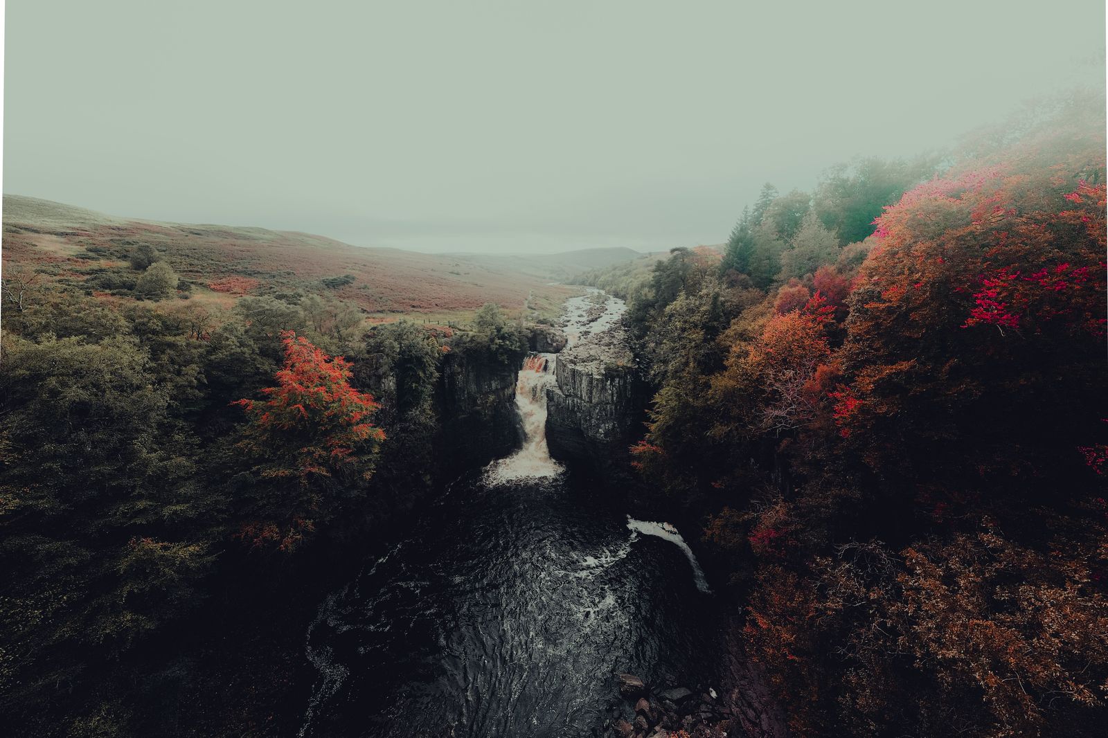 A waterfall drops over the escarpment through an autumn forest near Hamilton