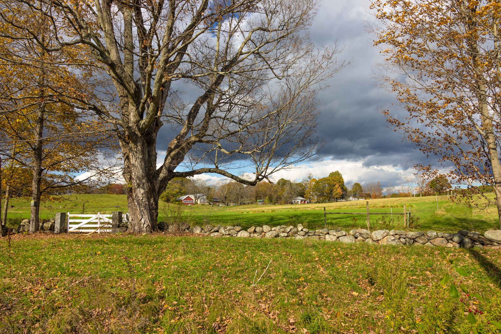 An old stone inn in autumn, the kind of Ancaster stay where a chauffeur waits in the inn's own lot