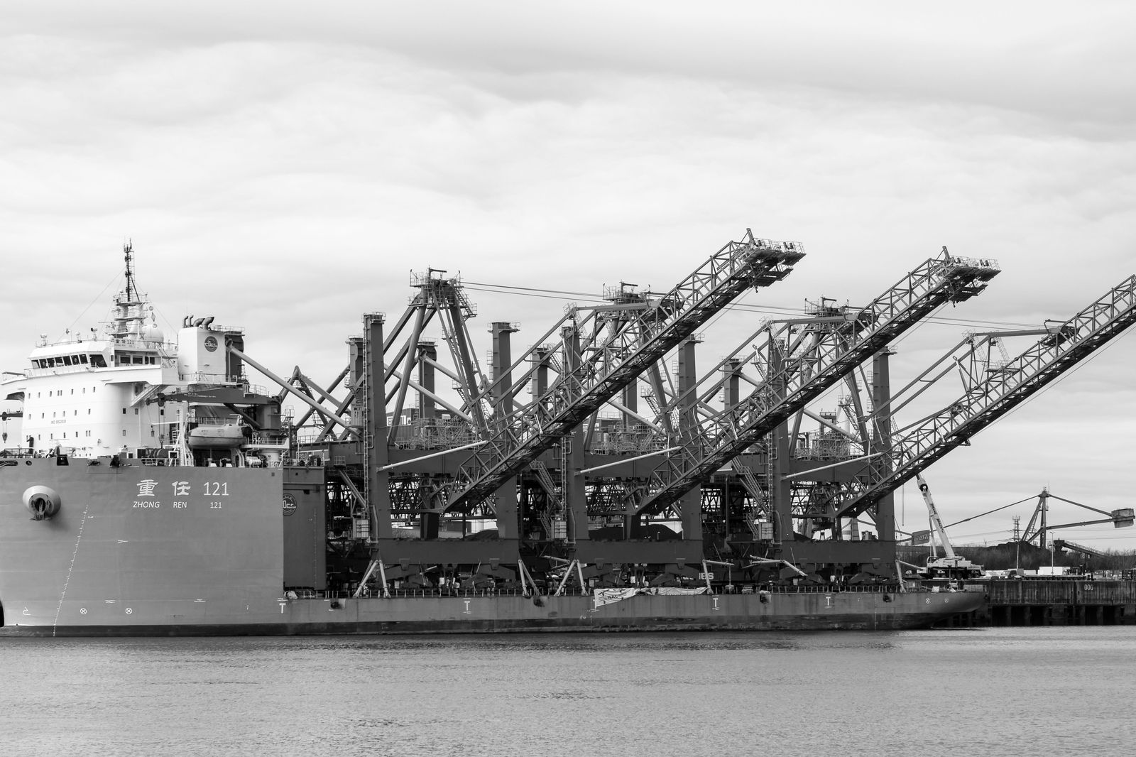 Cargo ships and cranes on a working harbour, a typical Hamilton site visit