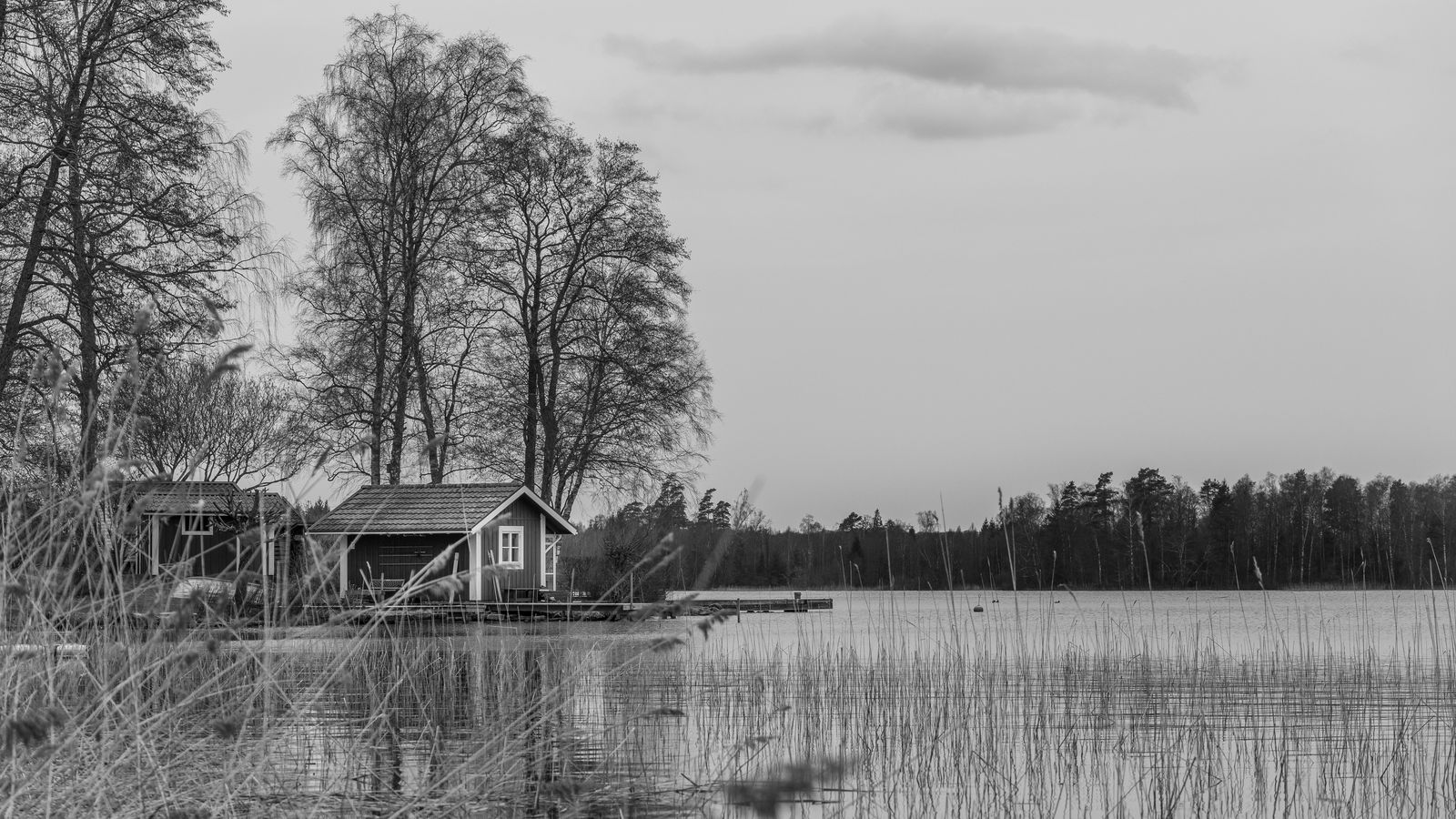 Hamilton ⇄ Muskoka