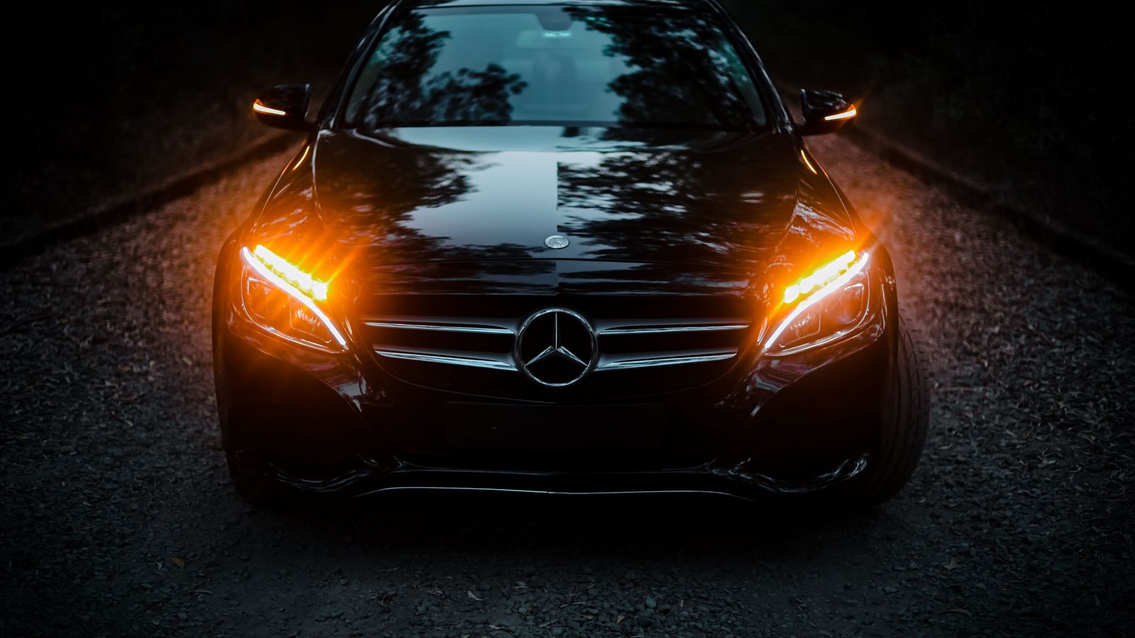 Black car & limousine service