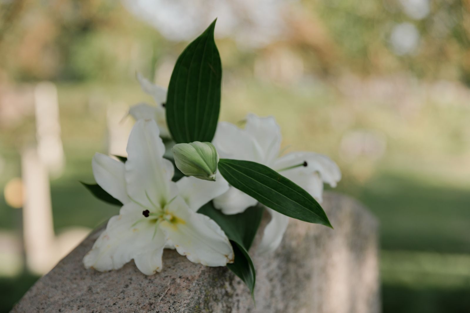 White flowers arranged for a memorial service