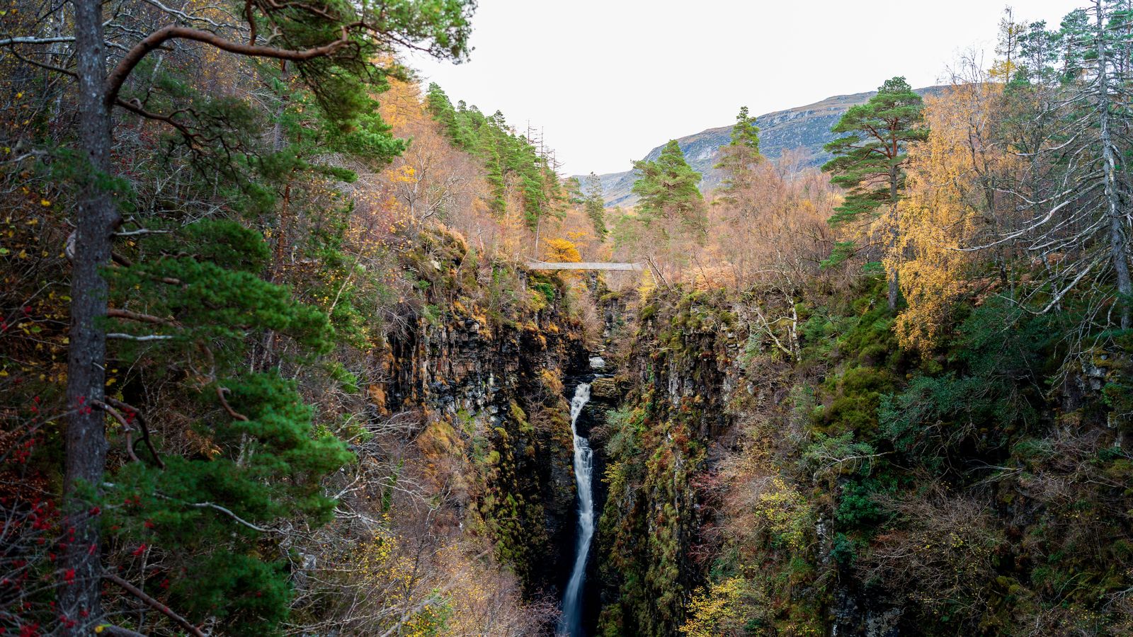 Private city & waterfall tours