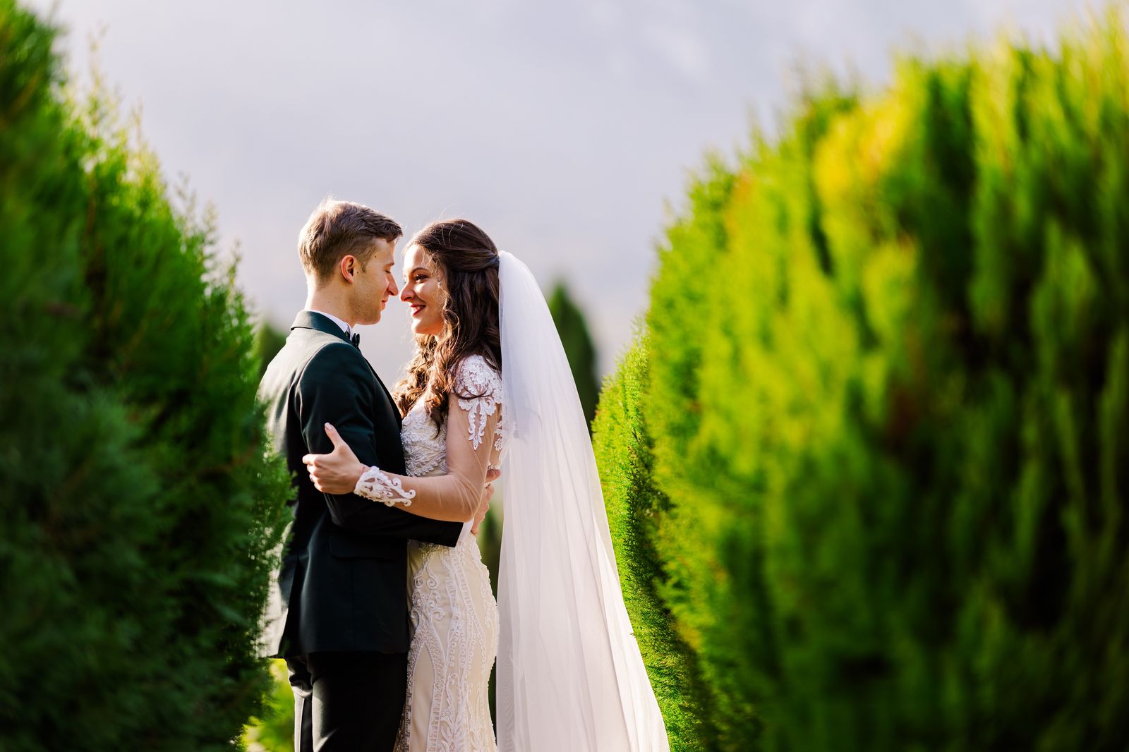 A wedding couple posing for photographs in a garden near Hamilton