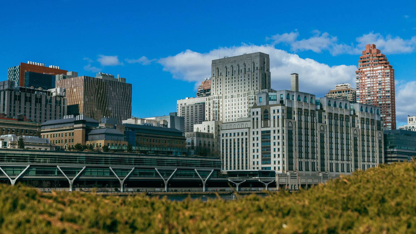 From the USA to Hamilton, by chauffeur